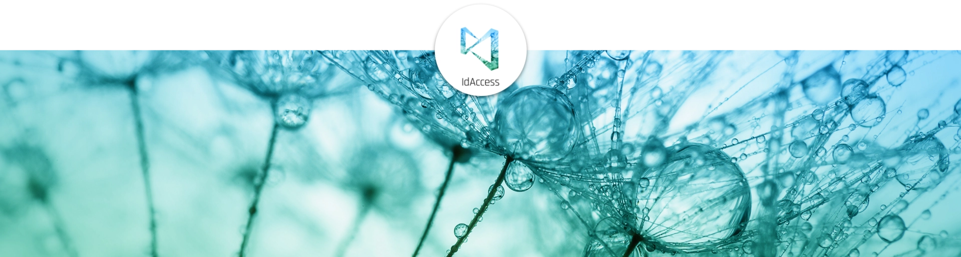 IdAccess